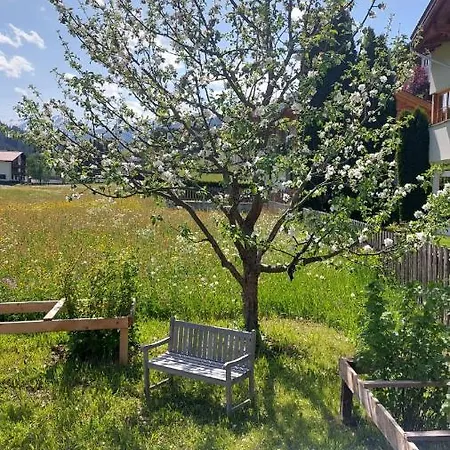 Viktors * 圣安东阿尔贝格